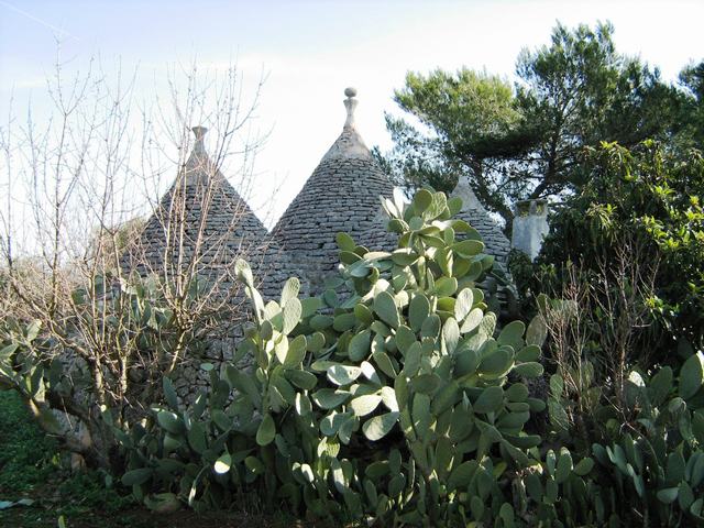 Vendita Rustici - Case di campagna - Baite - stalle e fienili - Trulli - Nuraghi a SAN MICHELE SALENTINO 