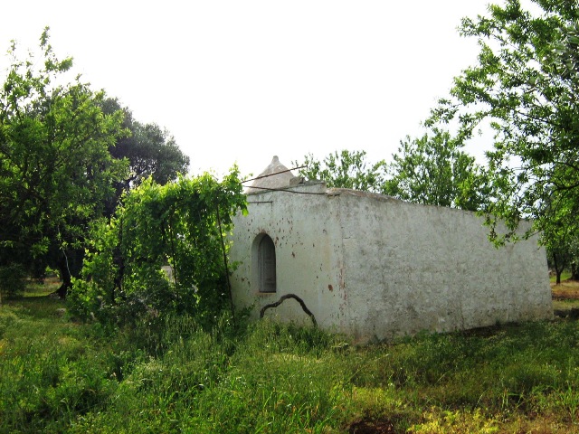 Vendita Rustici - Case di campagna - Baite - stalle e fienili - Trulli - Nuraghi a CEGLIE MESSAPICA 