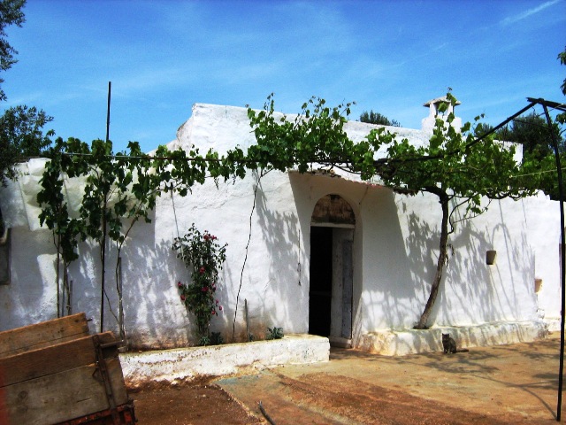 Vendita Rustici - Case di campagna - Baite - stalle e fienili - Trulli - Nuraghi a SAN MICHELE SALENTINO 