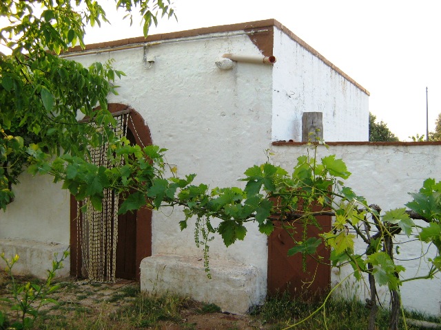 Vendita Rustici - Case di campagna - Baite - stalle e fienili - Trulli - Nuraghi a CEGLIE MESSAPICA 