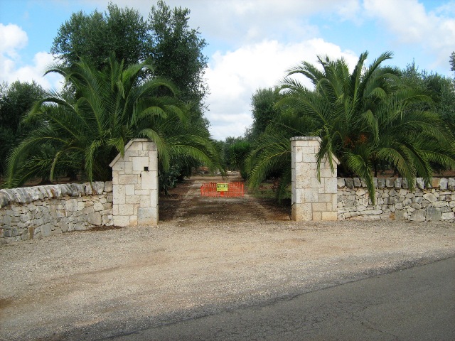 Vendita Terreni agricoli a SAN MICHELE SALENTINO 