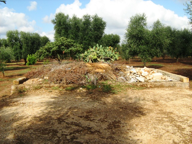 Vendita Terreni agricoli a SAN MICHELE SALENTINO 