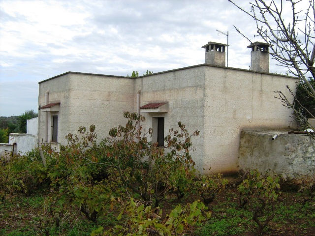 Foto 3