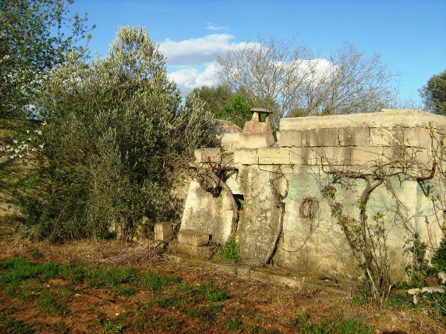 Vendita Rustici - Case di campagna - Baite - stalle e fienili - Trulli - Nuraghi a SAN VITO DEI NORMANNI 