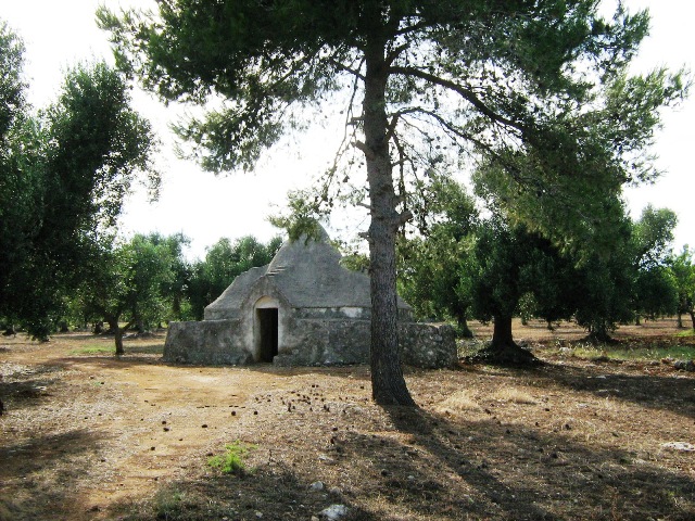 Vendita Rustici - Case di campagna - Baite - stalle e fienili - Trulli - Nuraghi a SAN VITO DEI NORMANNI 