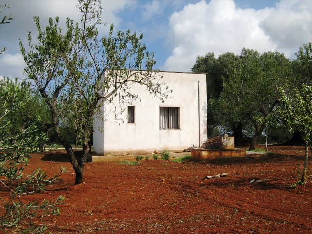 Vendita Rustici - Case di campagna - Baite - stalle e fienili - Trulli - Nuraghi a CAROVIGNO 