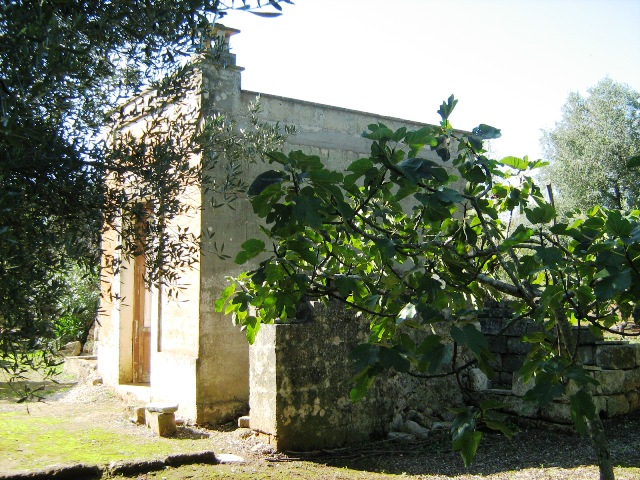 Vendita Rustici - Case di campagna - Baite - stalle e fienili - Trulli - Nuraghi a LATIANO 