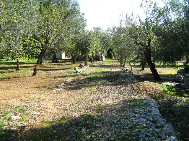 Vendita Rustici - Case di campagna - Baite - stalle e fienili - Trulli - Nuraghi a LATIANO 