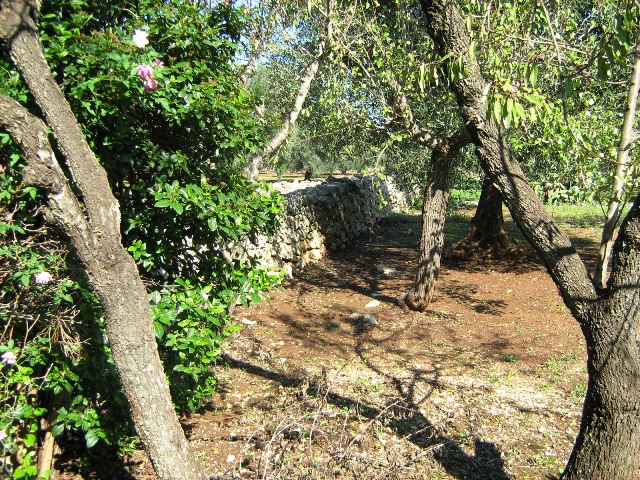 Vendita Rustici - Case di campagna - Baite - stalle e fienili - Trulli - Nuraghi a LATIANO 