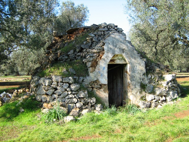 Vendita Rustici - Case di campagna - Baite - stalle e fienili - Trulli - Nuraghi a FRANCAVILLA FONTANA 