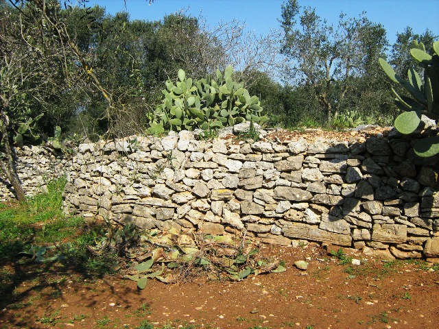 Vendita Rustici - Case di campagna - Baite - stalle e fienili - Trulli - Nuraghi a LATIANO 