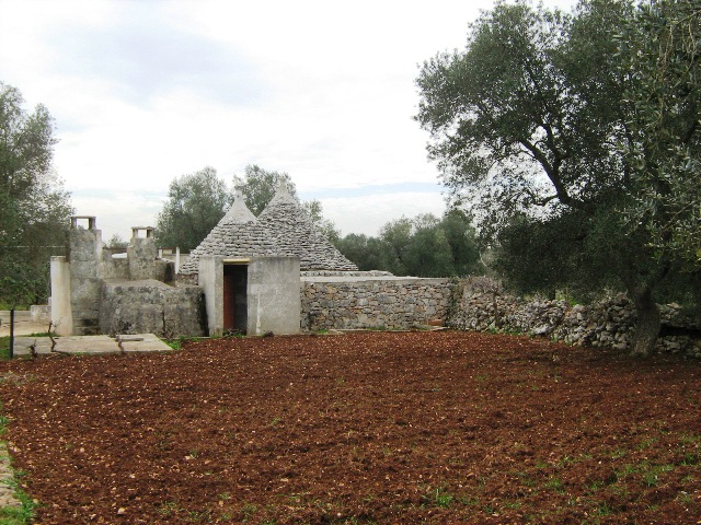 Vendita Rustici - Case di campagna - Baite - stalle e fienili - Trulli - Nuraghi a CEGLIE MESSAPICA 