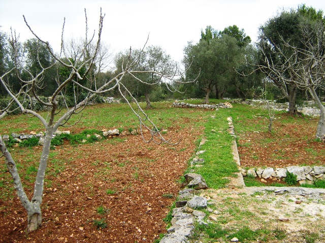 Vendita Rustici - Case di campagna - Baite - stalle e fienili - Trulli - Nuraghi a CEGLIE MESSAPICA 