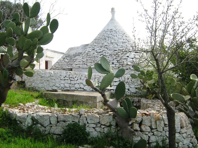 Vendita Rustici - Case di campagna - Baite - stalle e fienili - Trulli - Nuraghi a CEGLIE MESSAPICA 