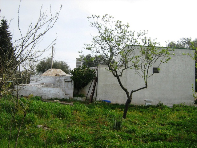 Vendita Rustici - Case di campagna - Baite - stalle e fienili - Trulli - Nuraghi a CEGLIE MESSAPICA 