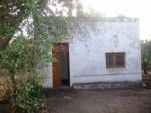 Vendita Rustici - Case di campagna - Baite - stalle e fienili - Trulli - Nuraghi a SAN VITO DEI NORMANNI 