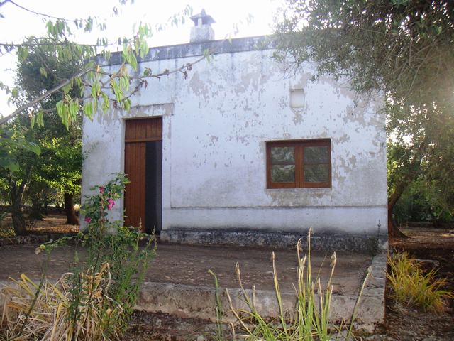 Vendita Rustici - Case di campagna - Baite - stalle e fienili - Trulli - Nuraghi a SAN VITO DEI NORMANNI 